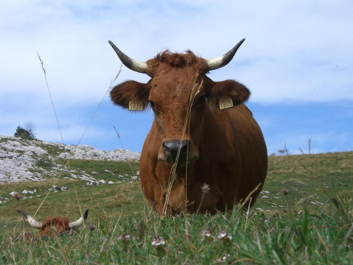 Résidence les 3 Sommets Sarcenas Esterno foto
